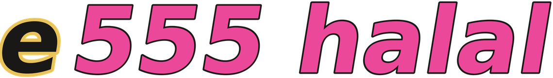 e555 halal logo